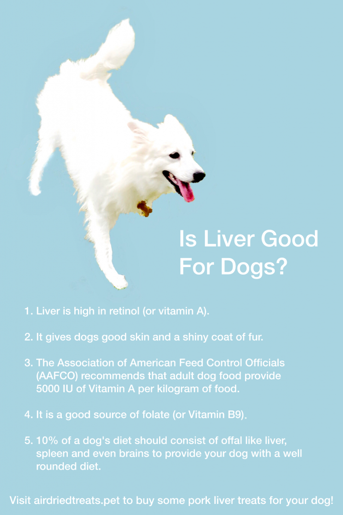 Is Liver Good for Dogs?