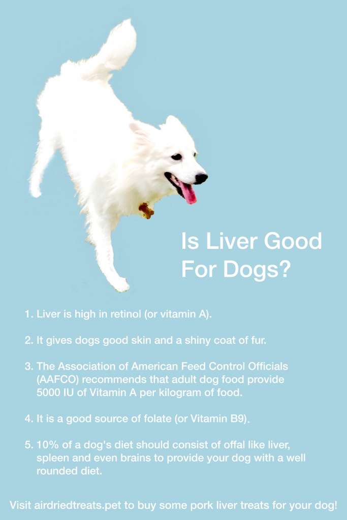 can you feed a dog too much liver