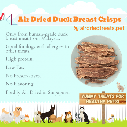 Air Dried Duck Breast Crisps