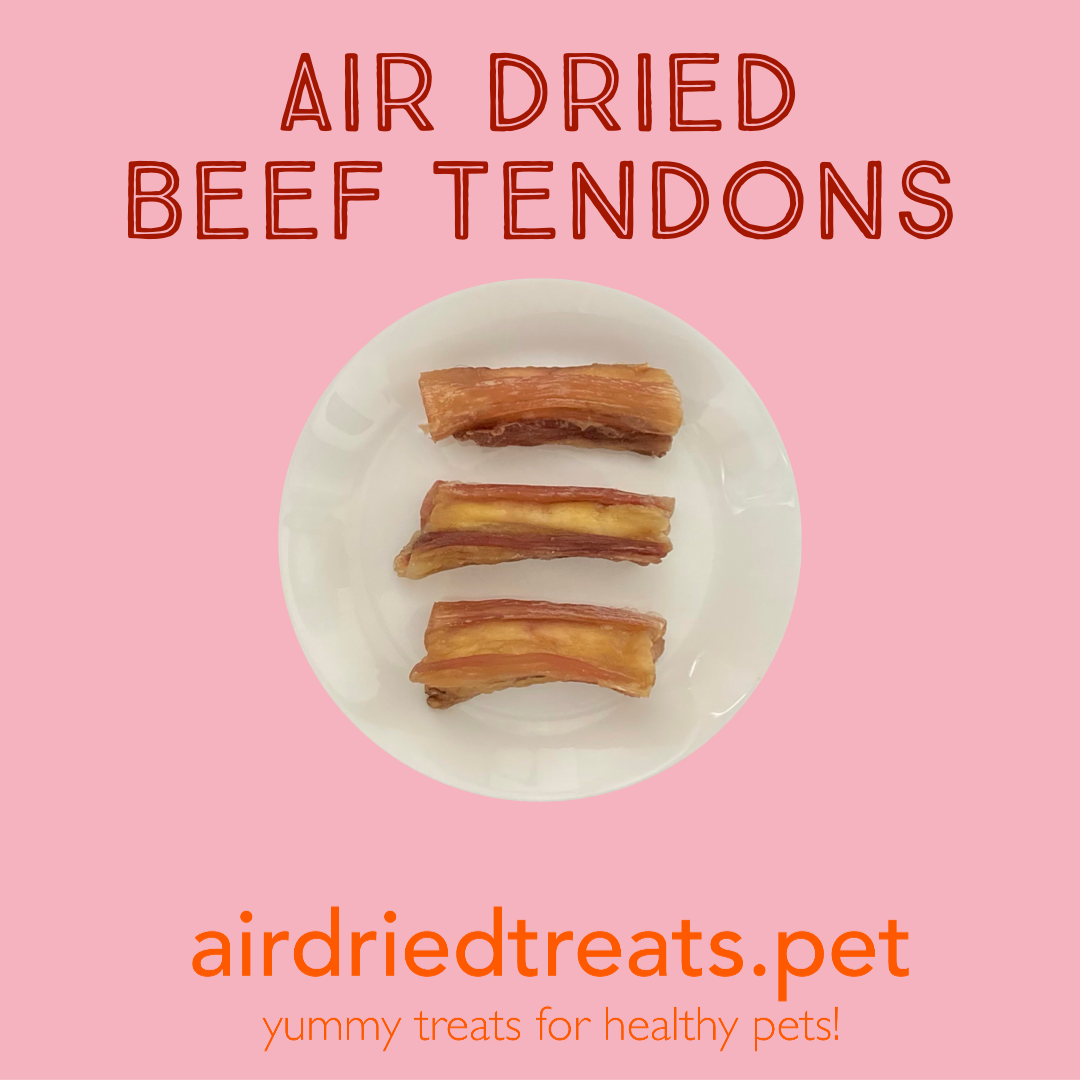 Air Dried Beef Tendons Chews airdriedtreats.pet Single Ingredient Chews