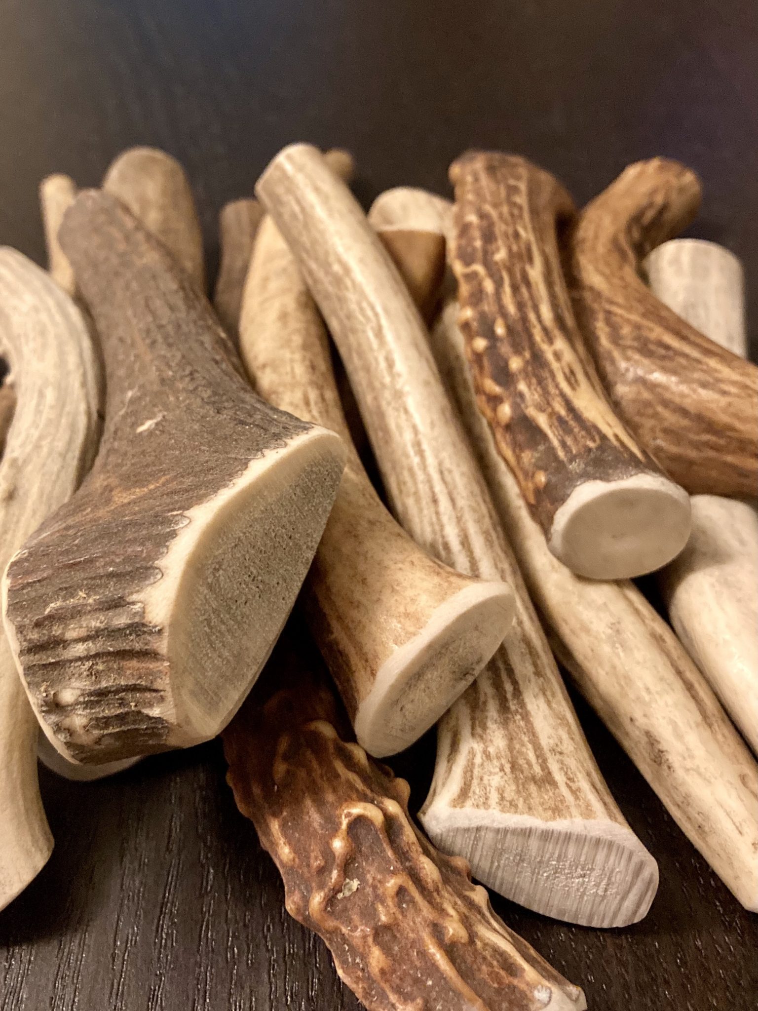 Whole Antlers Chews - airdriedtreats.pet hard chews for dogs