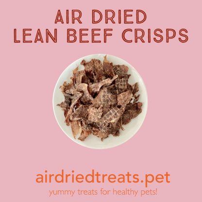 Air Dried Lean Beef Crisps