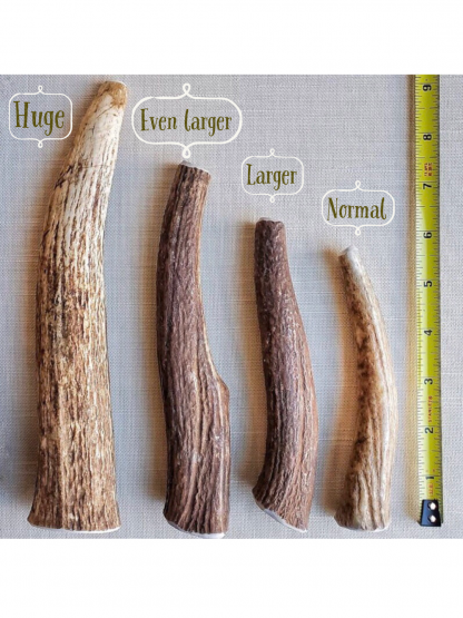Whole Antlers Chews Sizes