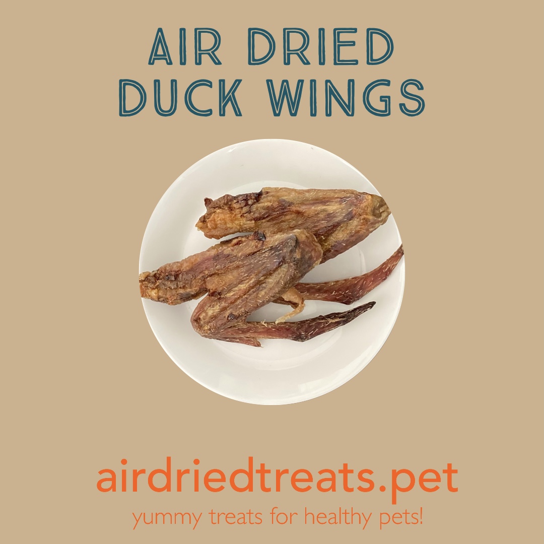Air Dried Duck Wings airdriedtreats.pet
