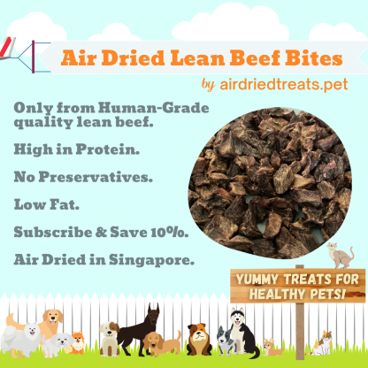 Air Dried Lean Beef Bites