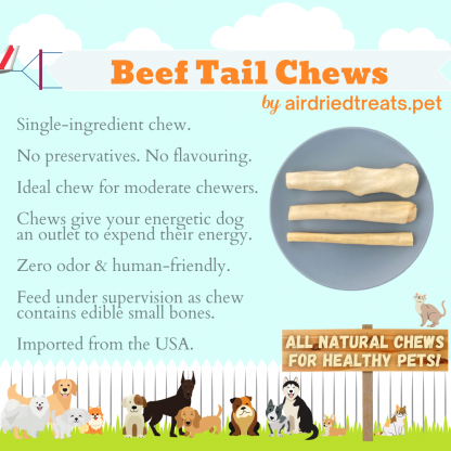 Beef Tail Chews