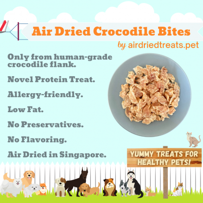 Air Dried Crocodile Bites
