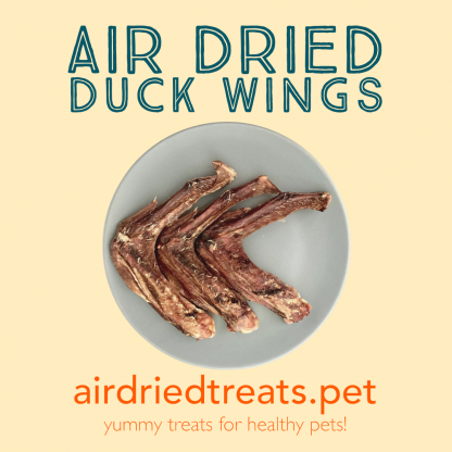 Air Dried Duck Wings