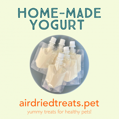 Home-made yogurt treat