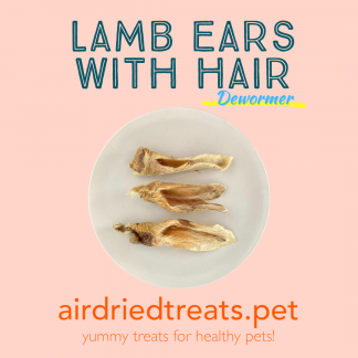 Lamb Ears with Hair