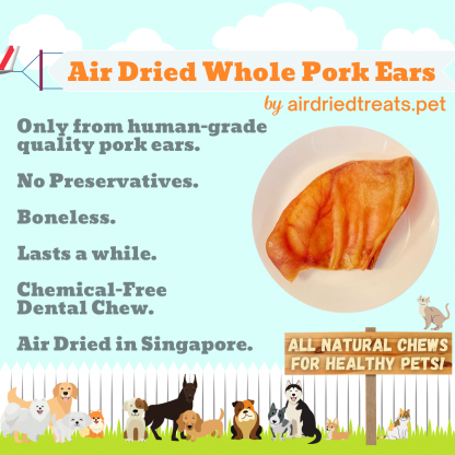 Air Dried Whole Pork Ears