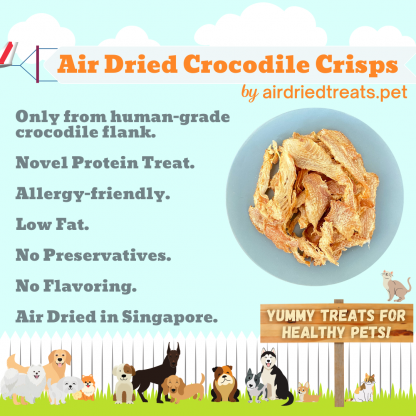 Air Dried Crocodile Crisps