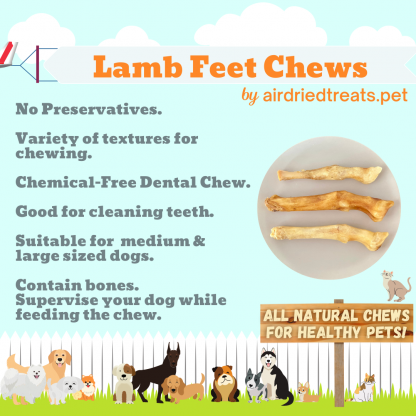 Lamb Feet Chews