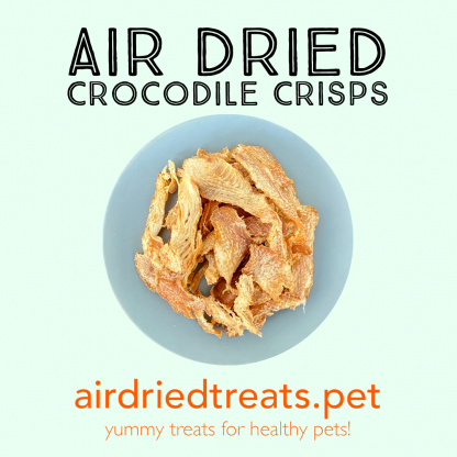 Air Dried Crocodile Crisps