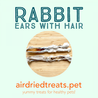 Rabbit Ears with Hair