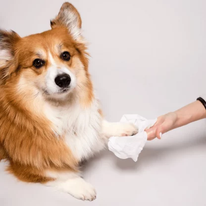 Biodegradable Pet Grooming Wipes
