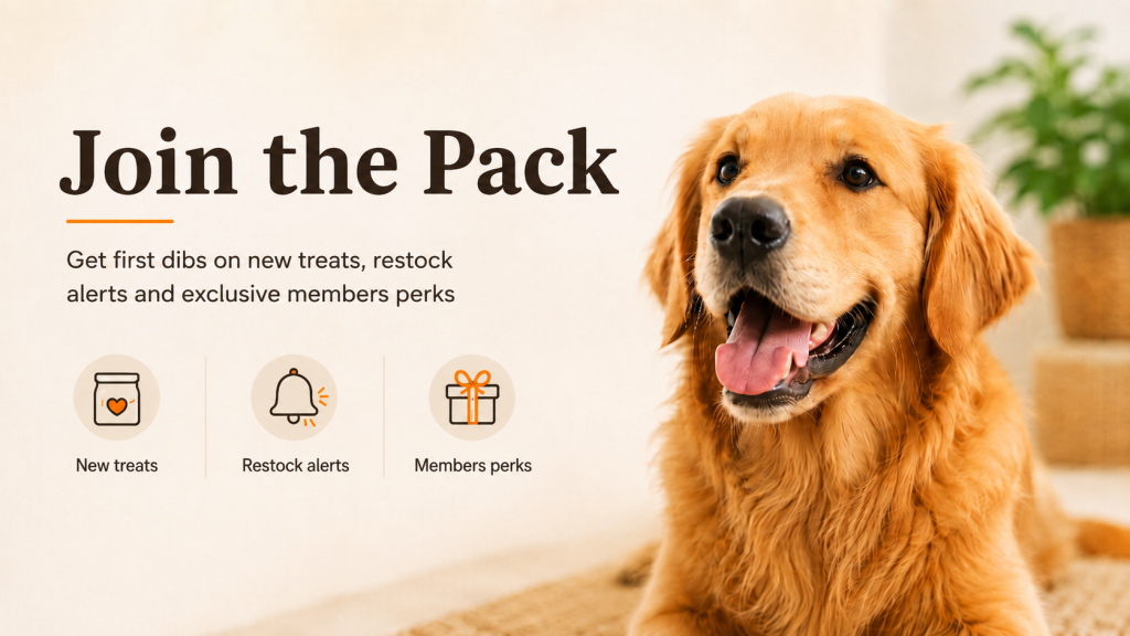 Single-ingredient air-dried dog treats from airdriedtreats.pet, Singapore